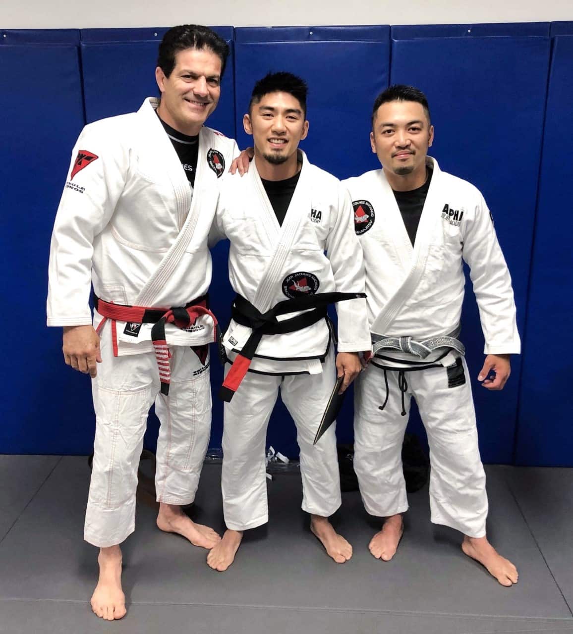 jiu jitsu, martial arts