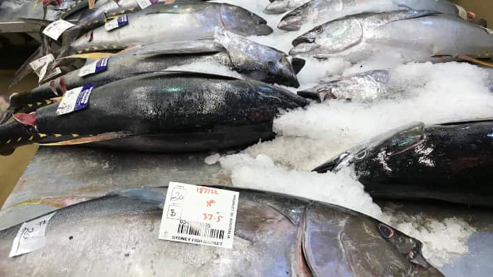 Sydney Fish Market