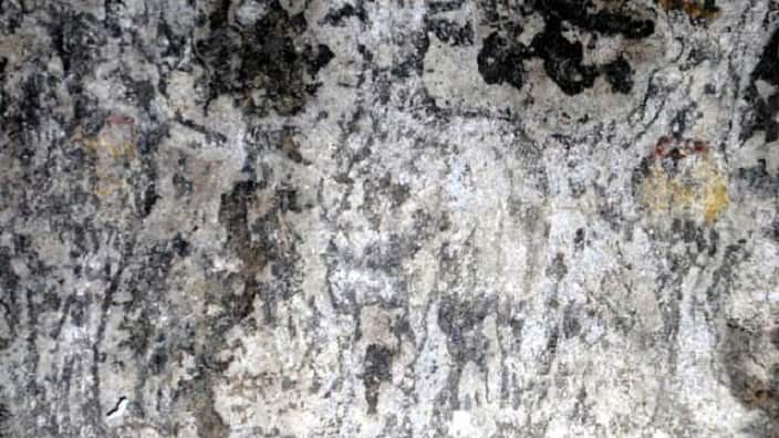 Icons of humans and animals