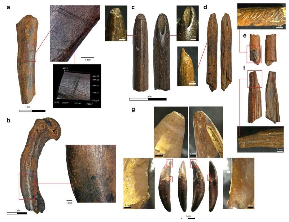 Research shows humans tamed Sri Lankan jungle 45,000 years ago.