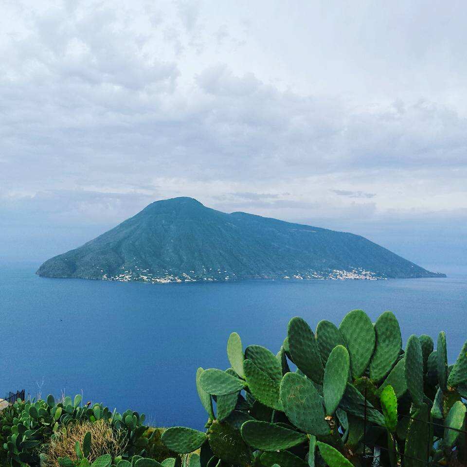 Courtesy of Kathleen Olive.