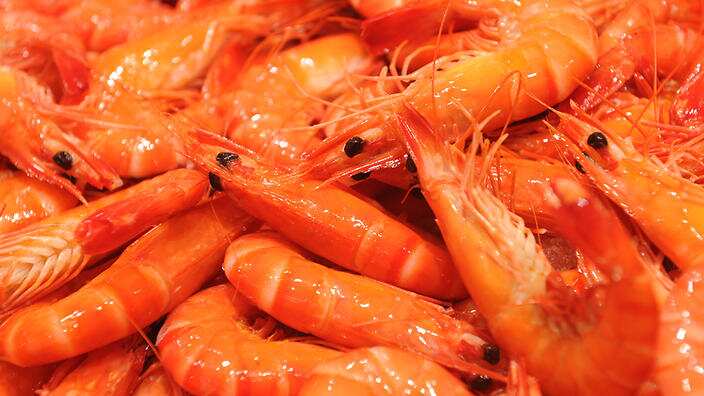 Prawns on display at the Sydney Fish Market, in Sydney, Friday, Dec. 23, 2016. The Sydney Fish Markets trade for a marathon 36 hours from 5 am today, in what is the markets' busiest period of trade. (AAP Image/Joel Carrett) NO ARCHIVING