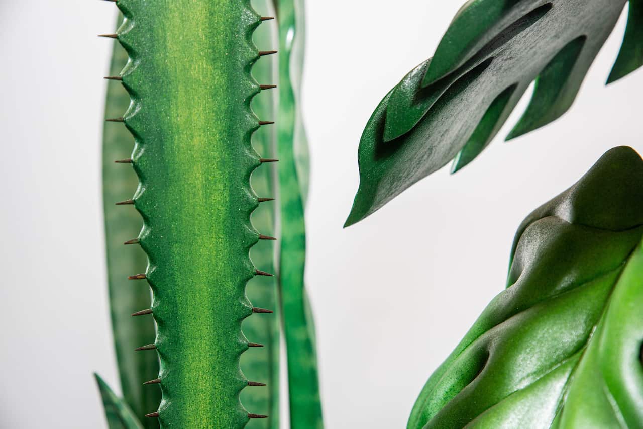 "Transplants" by Artist Abdul-Rahman Abdullah 