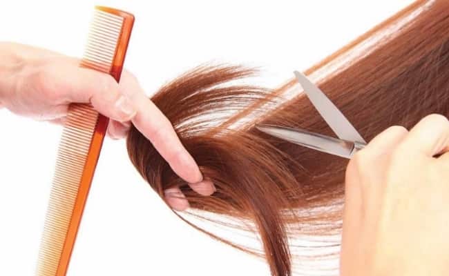 Trim your hair does not help to grow hair faster