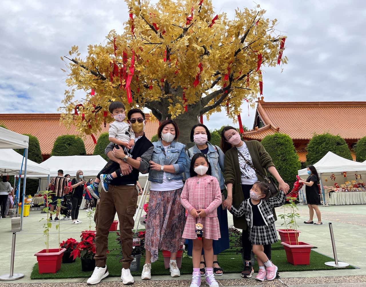 南天寺許願樹。