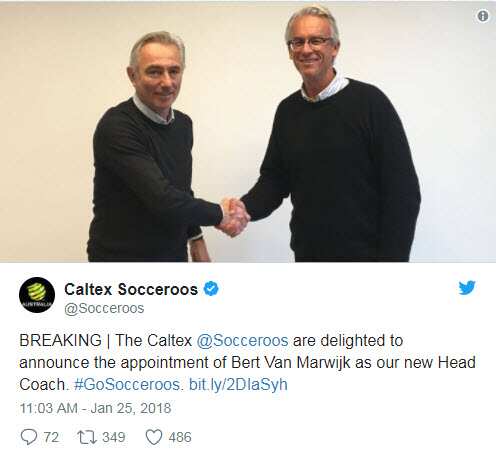 Bert van Marwijk, David Gallop