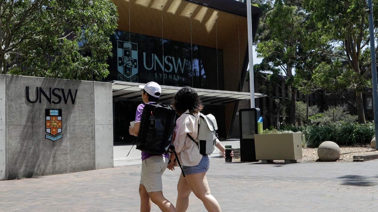 University students.