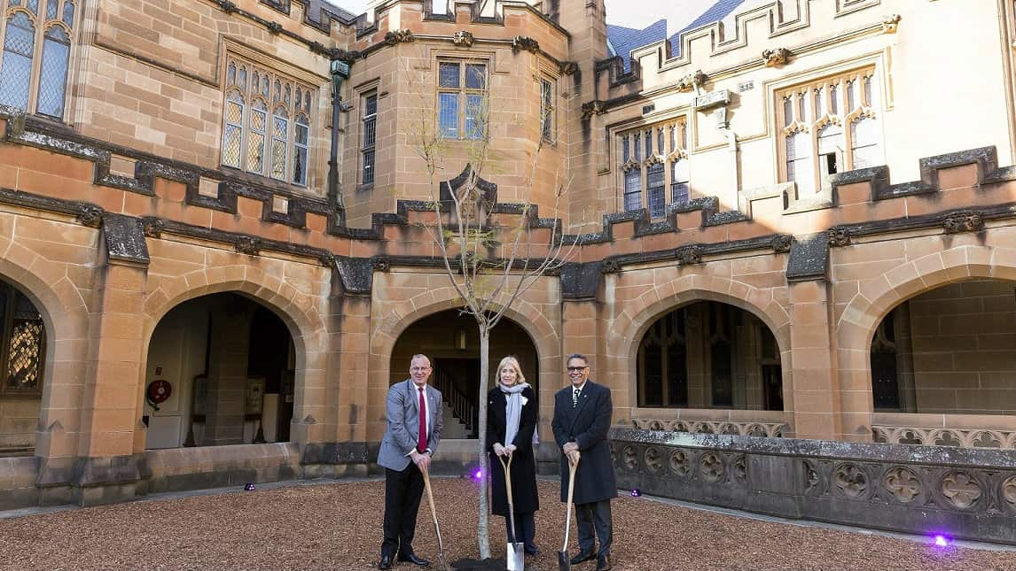 Planting of a new jacaranda and a Kurrajong Tree at Sydney Univeristy