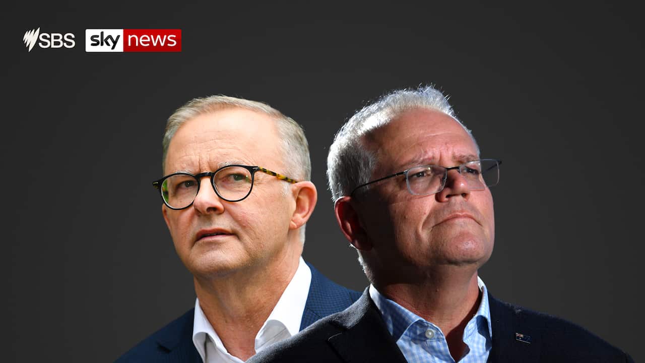 Prime Minister Scott Morrison and Opposition leader Anthony Albanese will face off in the federal election to decide who gets to lead the nation. 