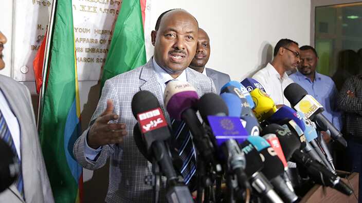 Ethiopian Prime Minister's Special Envoy for Sudan conciliation dialogue, Mahmoud Dreer, 