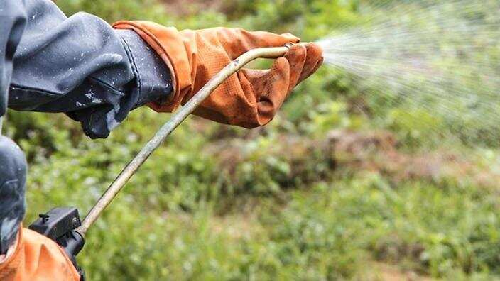 Monsanto's Roundup: the pesticide that might give you cancer ((Getty Images))