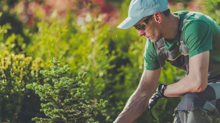 gardening