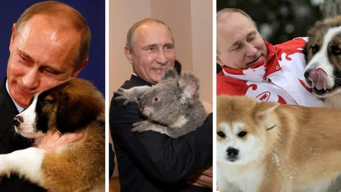 Putin and animals