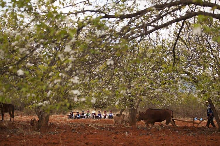 Sydney Film Festival