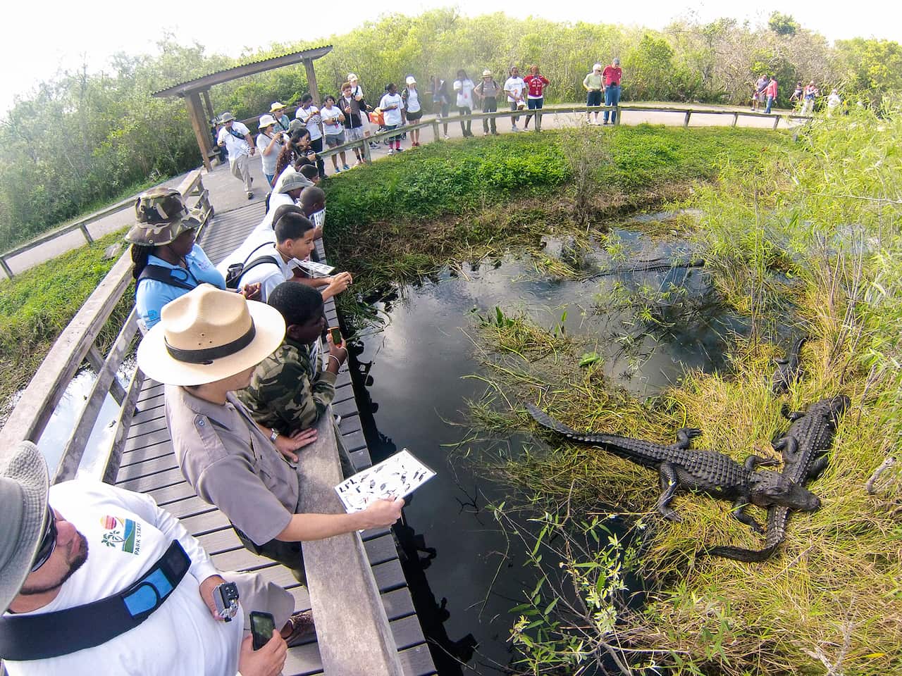 US Everglades NP Ropened 