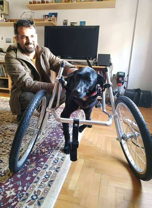 Vassilis Tzigouras helps a disabled dog