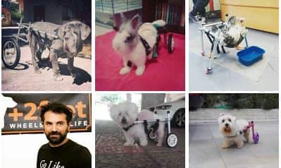 Individual wheels for individual needs