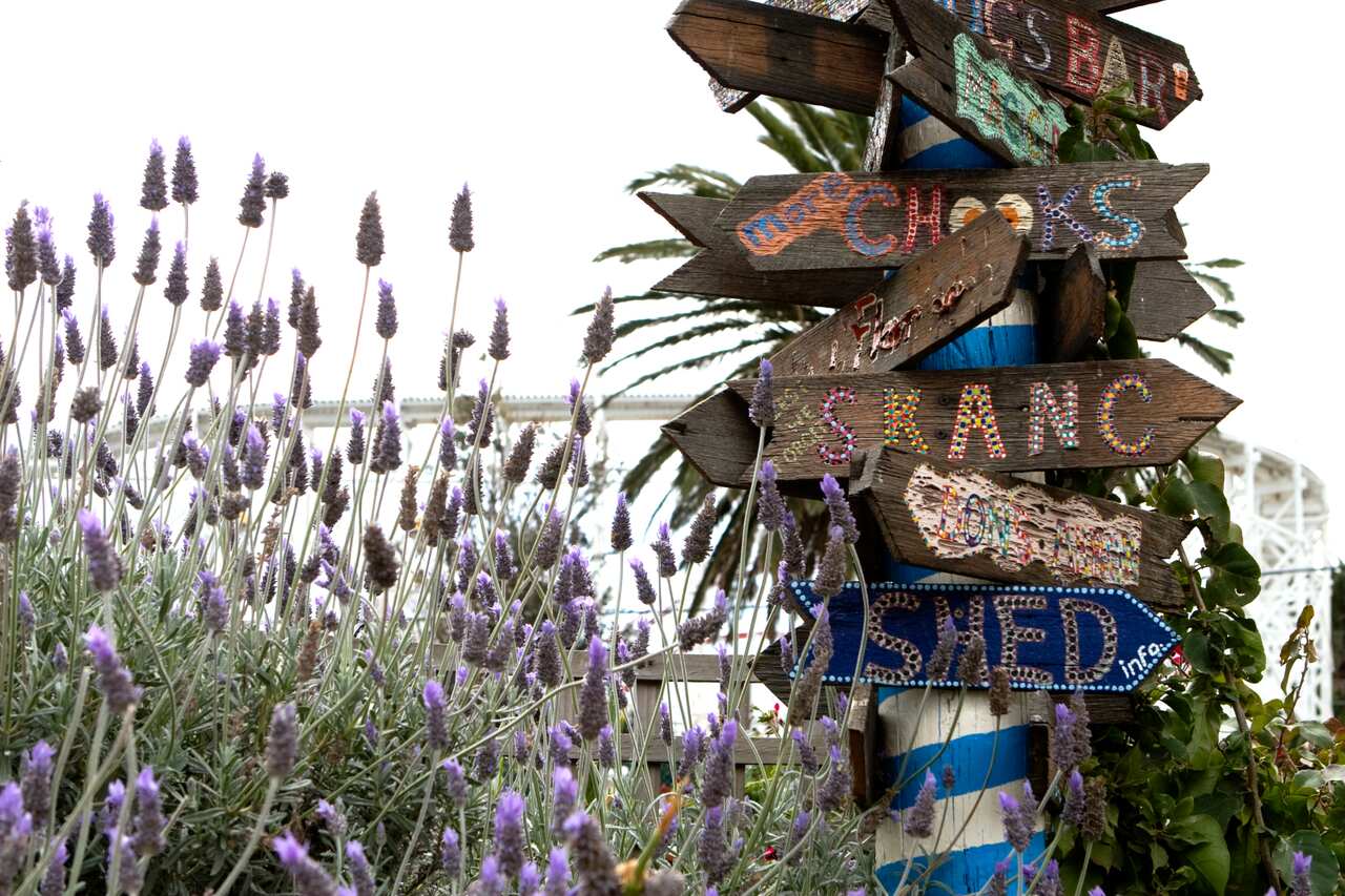 Veg Out is an organic, chemical free community garden run by volunteers and located in St Kilda, Melbourne, Australia.