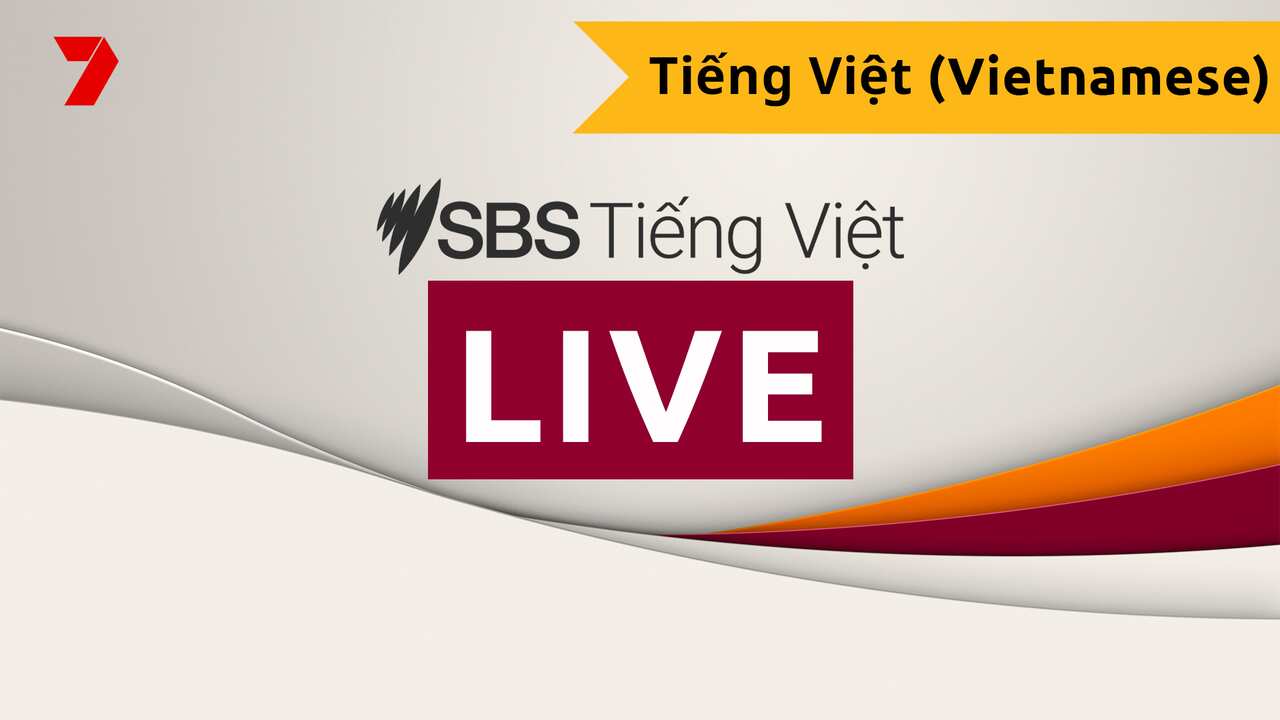 SBS LIVE Interpretation Leaders Debate Seven Vietnamese
