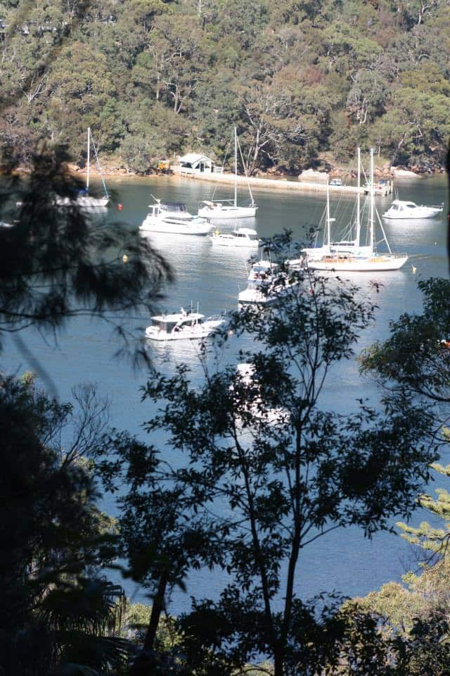 Ku-ring-gai National Park