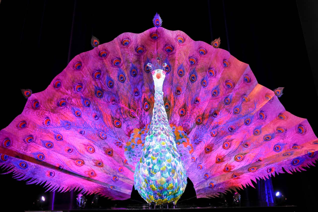 Vivid Sydney 2019 Program Launch. 19th March 2019. Photograph Dallas Kilponen