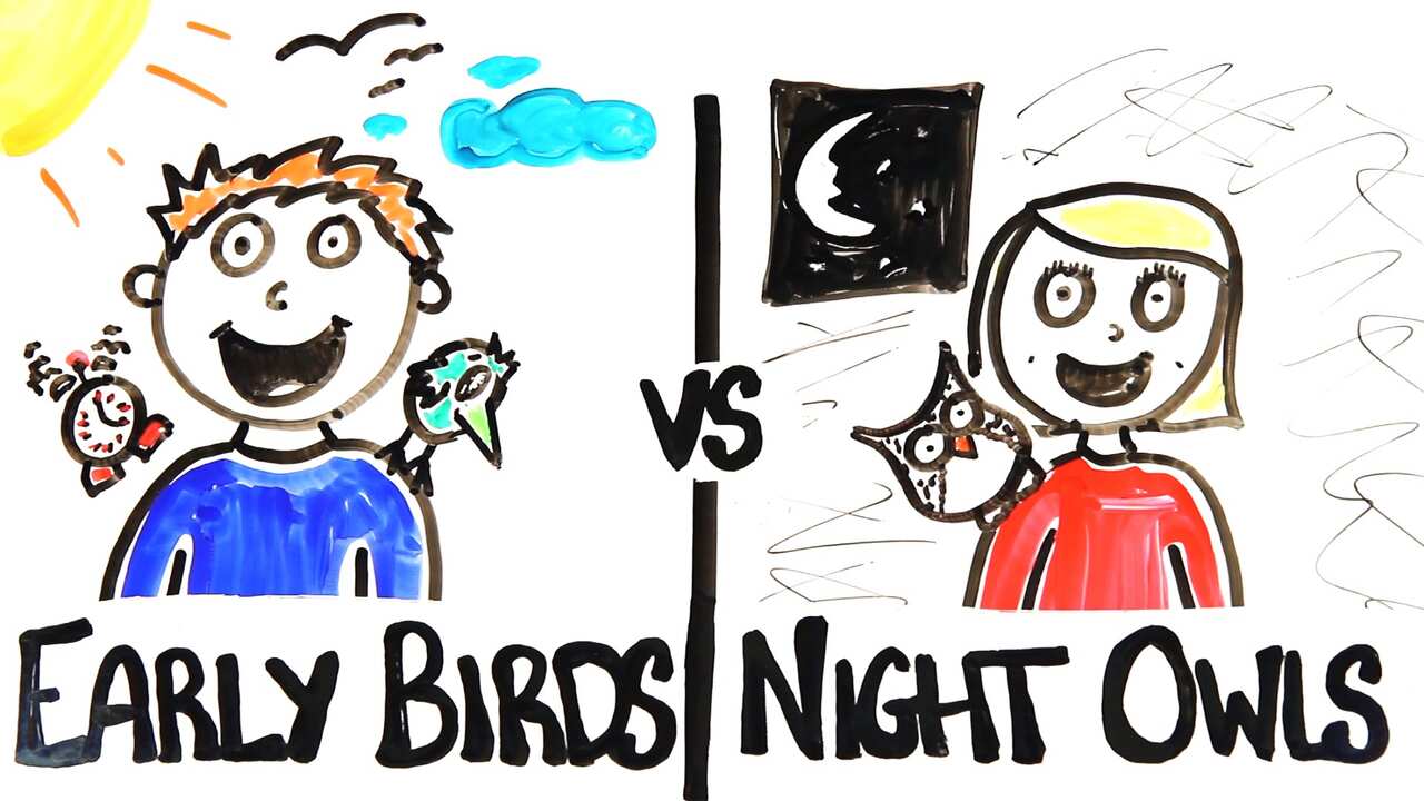 Early bird vs night owl