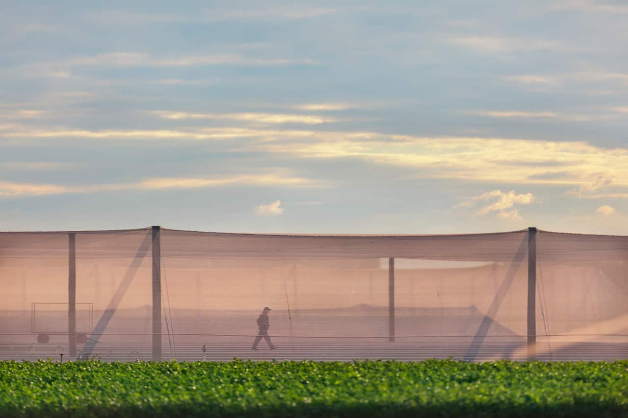 Bangladeshi Community Imran Abul Kashem