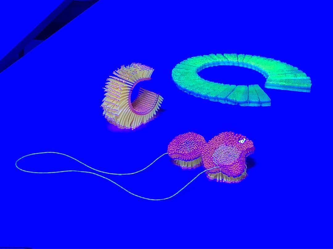 Jewellery designer Wanshu Li