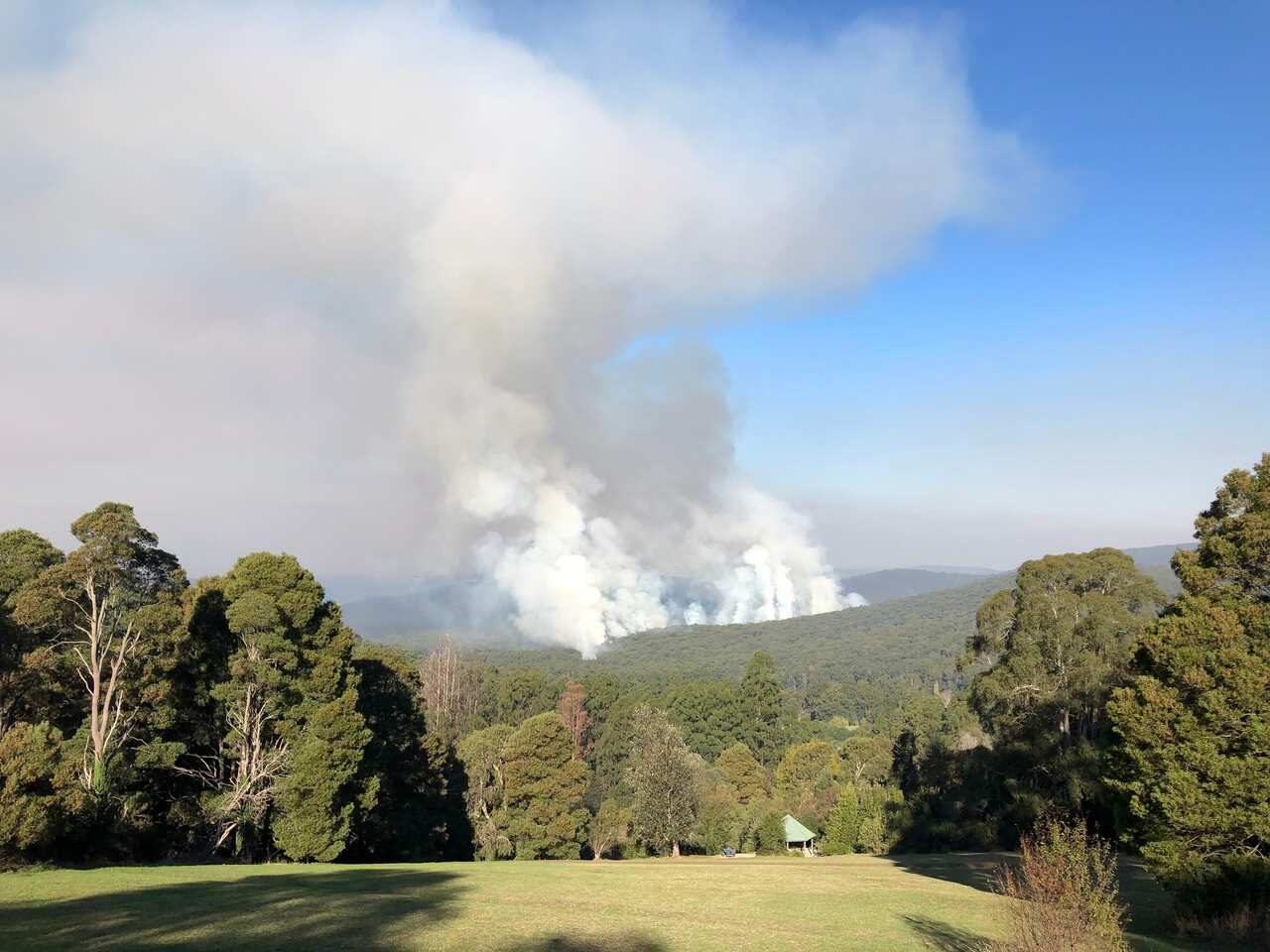 SBS Mandarin/ Helen Chen