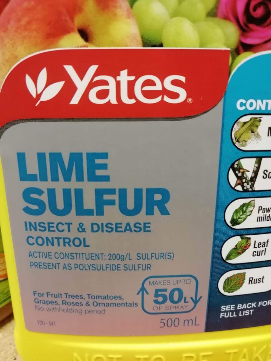 石硫合剂对难防治的蚧壳虫及其它虫以及病害都有防治效果,缺点是有臭硫磺味,叶上有颜色