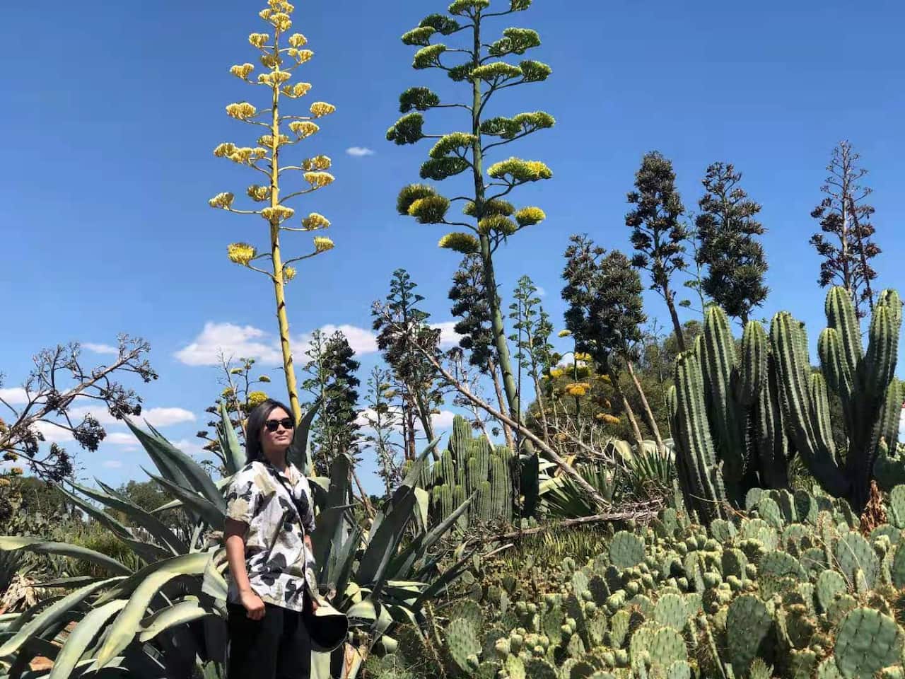 Chinese Australian Theo prefers to use 'they/them' as a pronoun.