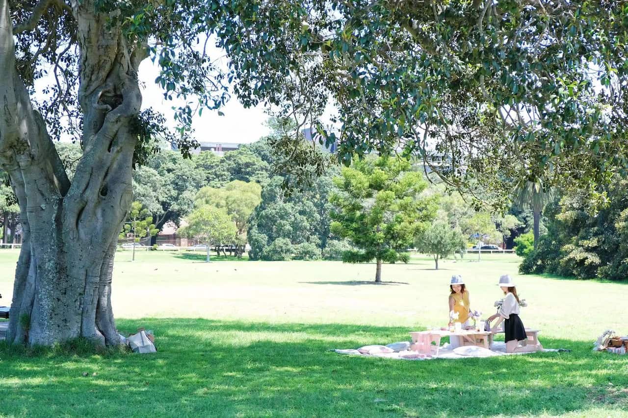 疫情期间户外野餐需要留意安全距离和清洁卫生