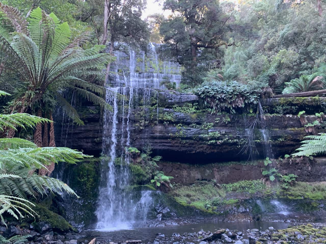 Mount Field National Park