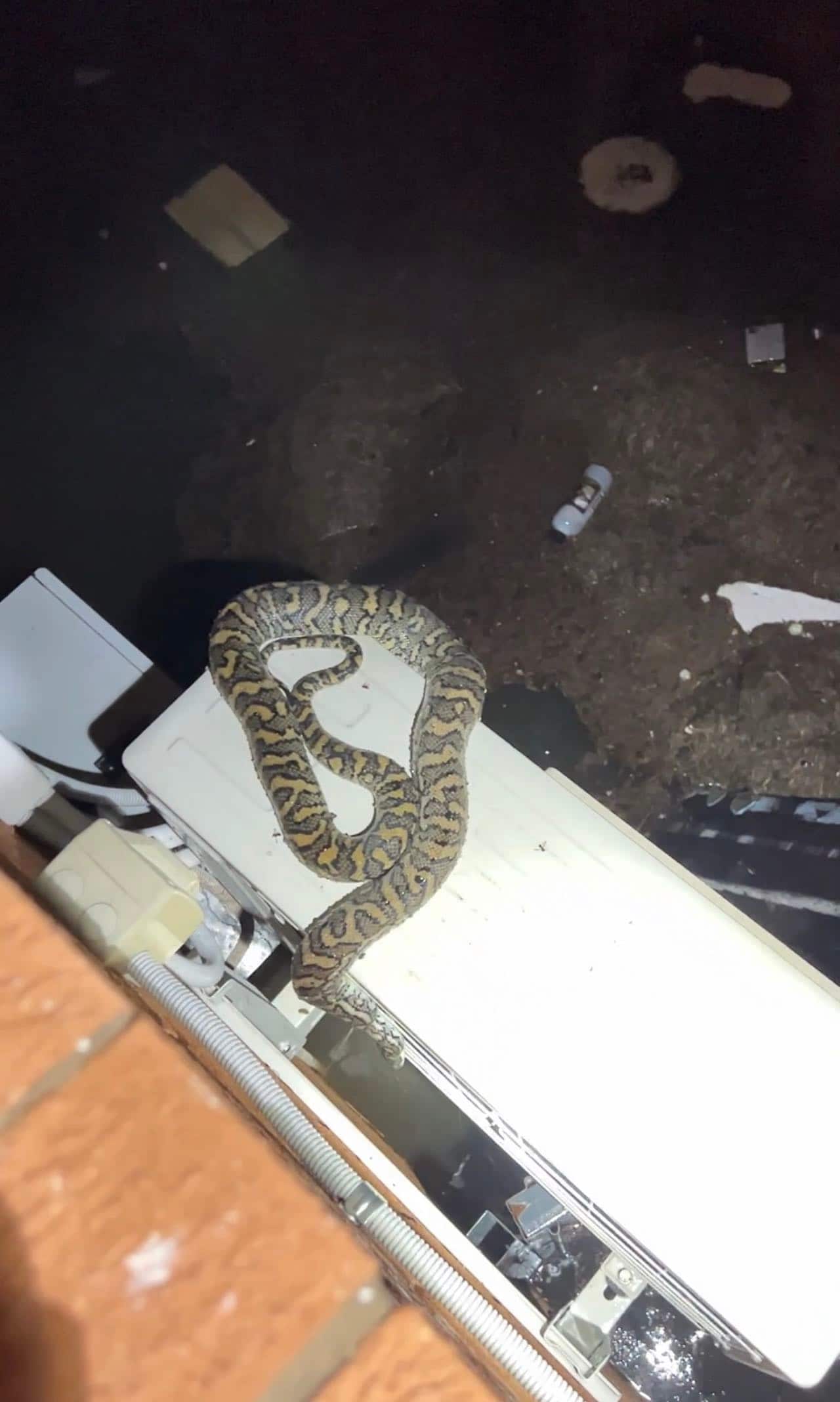 Queensland flood 2022