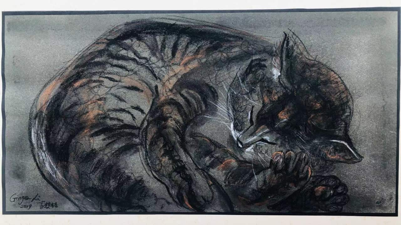 Ginger Li为所领养的一只猫绘制的画作