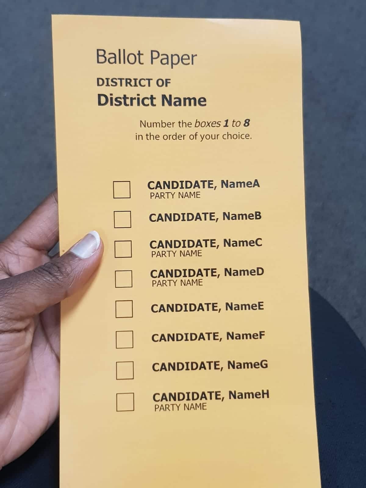 Practice with a mock ballot paper