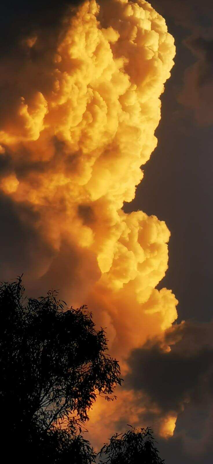 Tourist towns Bowral and Moss Vale sandwiched between major fires