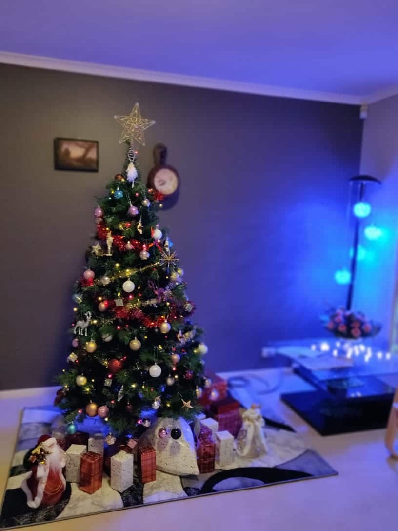 Christmas tree at Sadia Niazi's home.