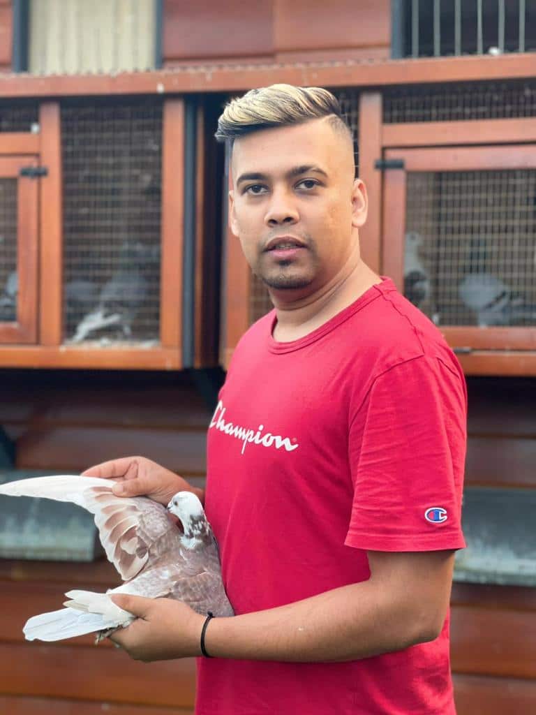 Pigeon racing australia