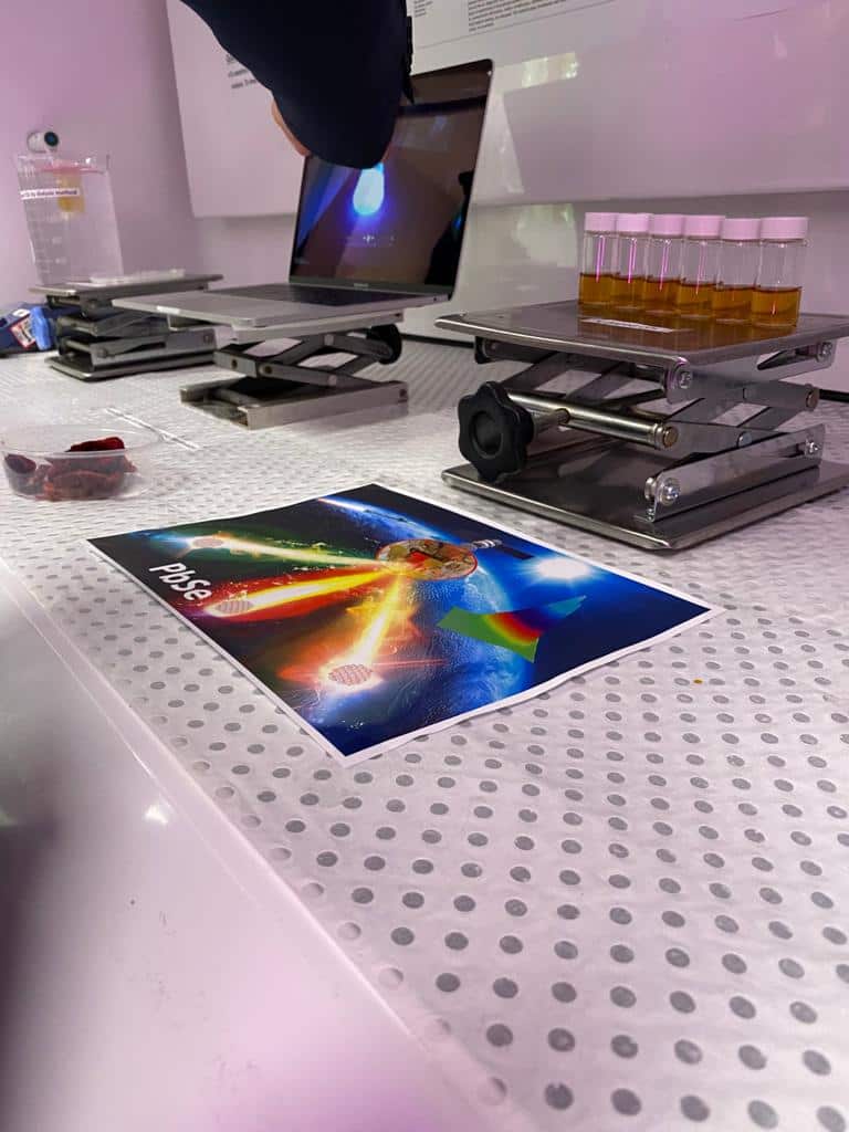 Universidad de Adelaida