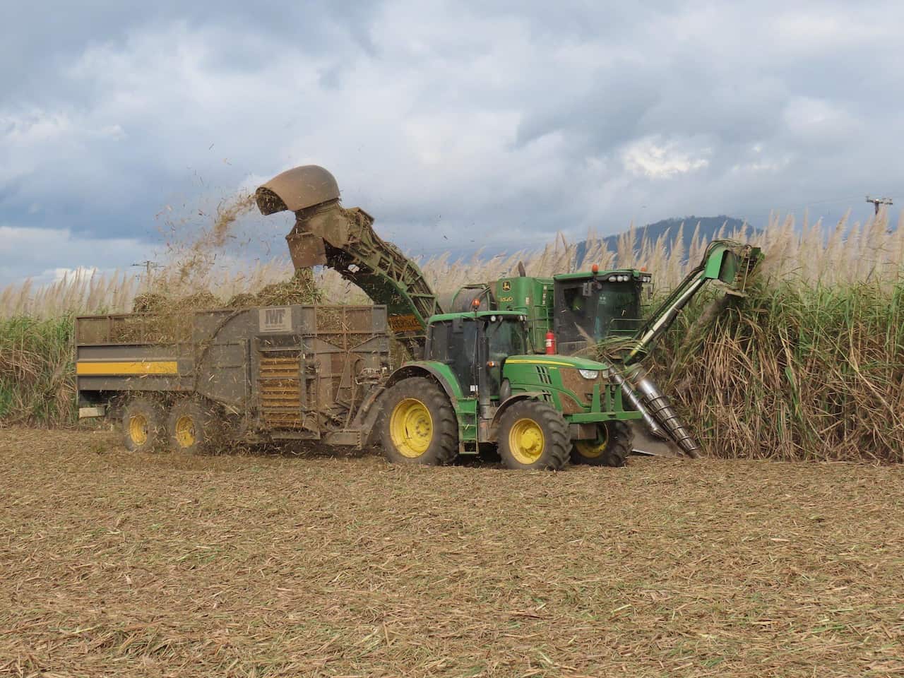 The sugarcane cultivation in Australia is dependent on heavy machinery.