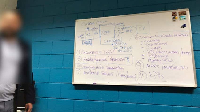 whiteboard immi pathway