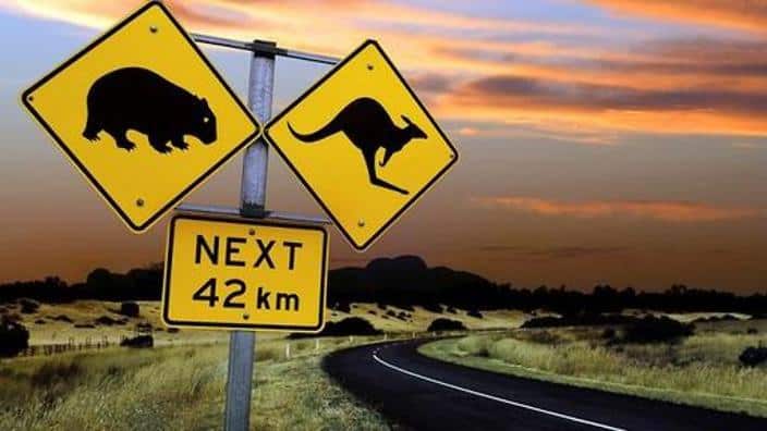 Main road safety rules in Australia. 