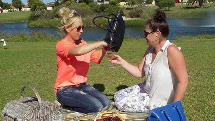 Wine handbag