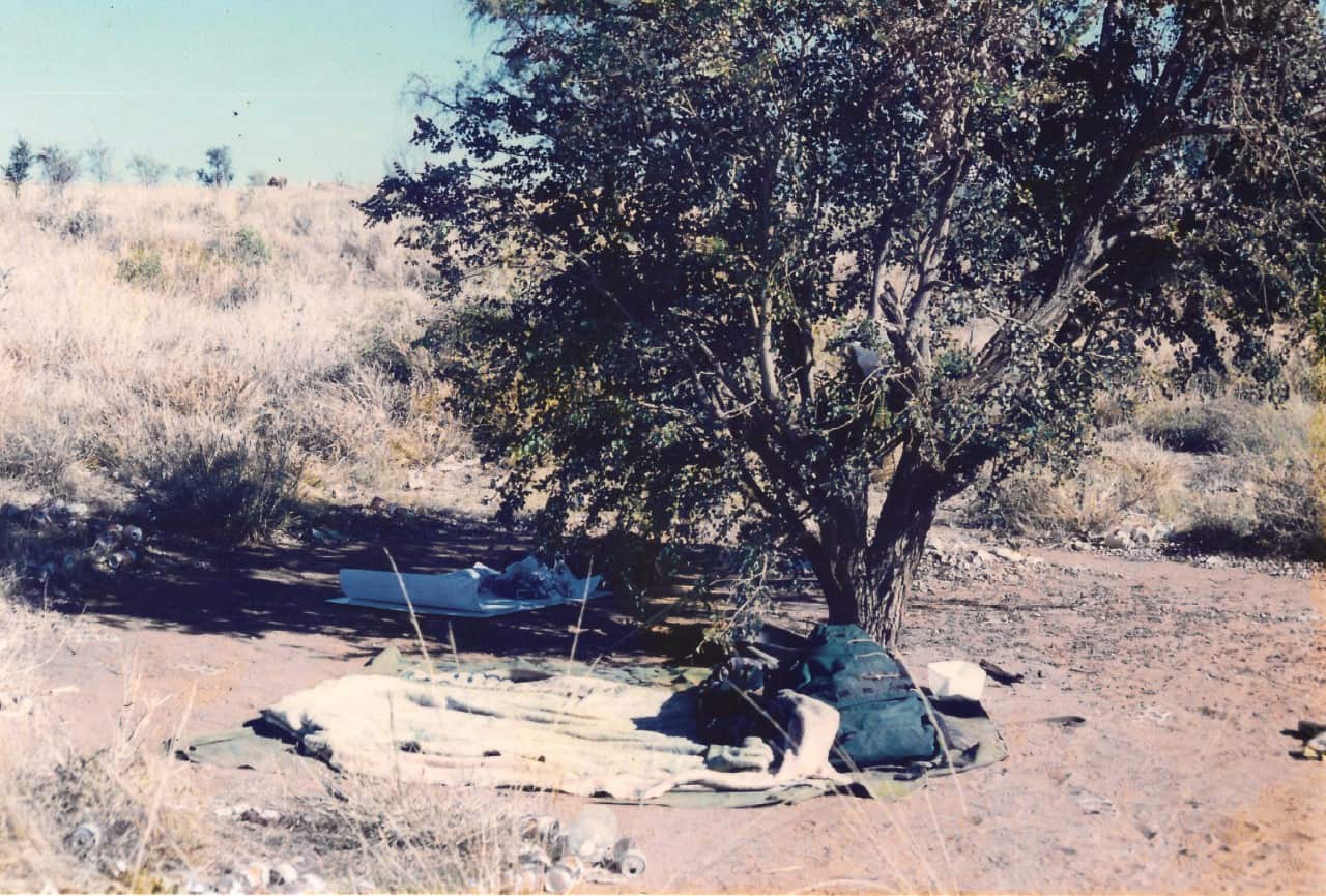 Under the tree, Zhou Xiaoping live and work together with Jimmy Pike.