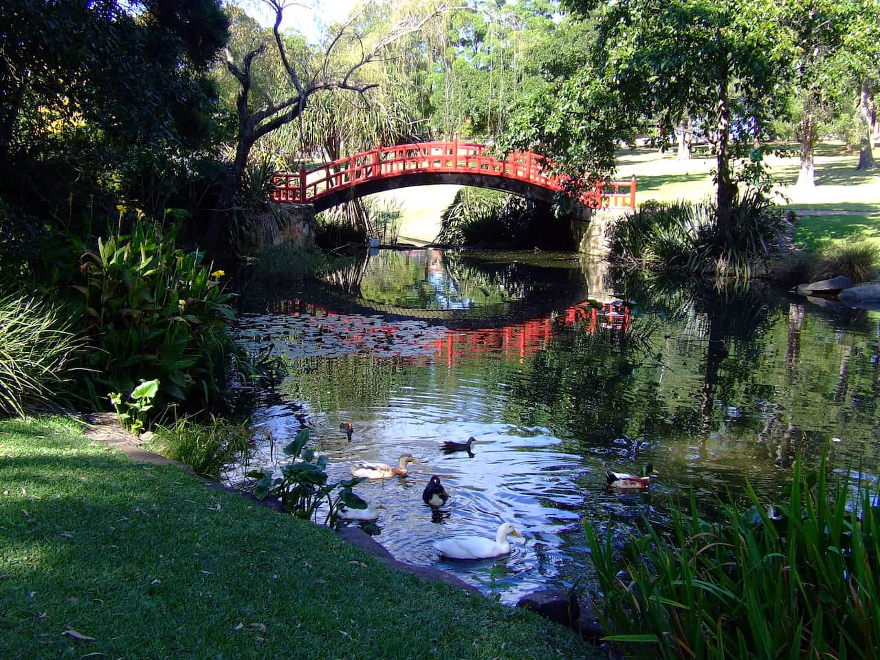 Wollongong botanic gardens