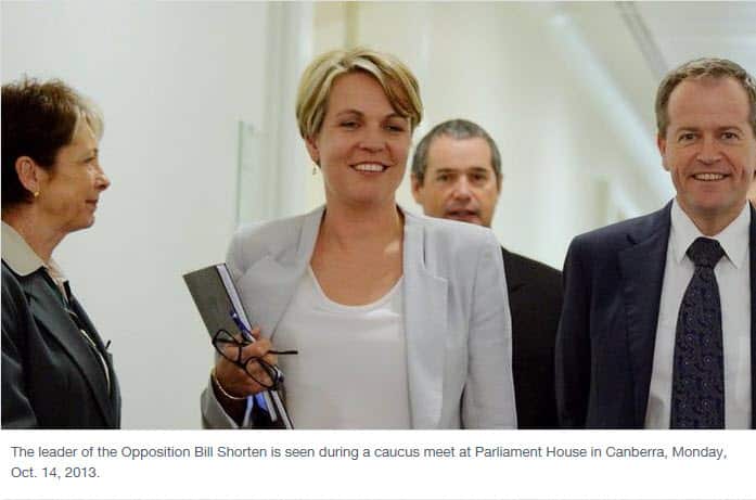 Tanya Plibersek