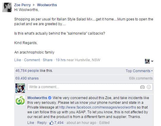 Huge spider filmed crawling inside bag of Woolworths salad