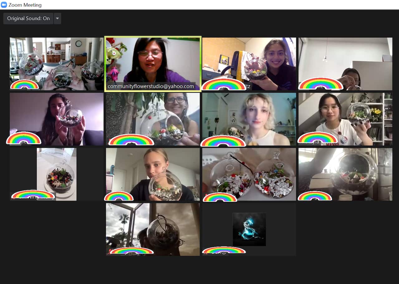 Screen shot for a FREE Virtual Succulent Terrarium Workshop for Youth aged 11 yr to 25 yr. Sept 2021 