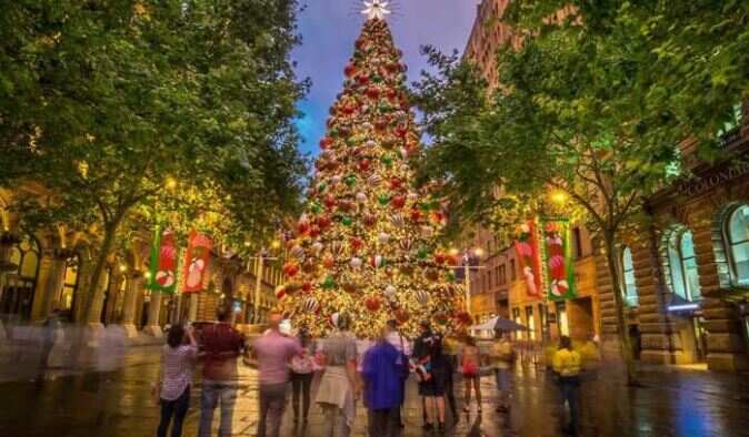 Martin Place Christmas tree